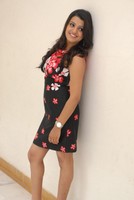 Tashu Kaushik Latest Pics